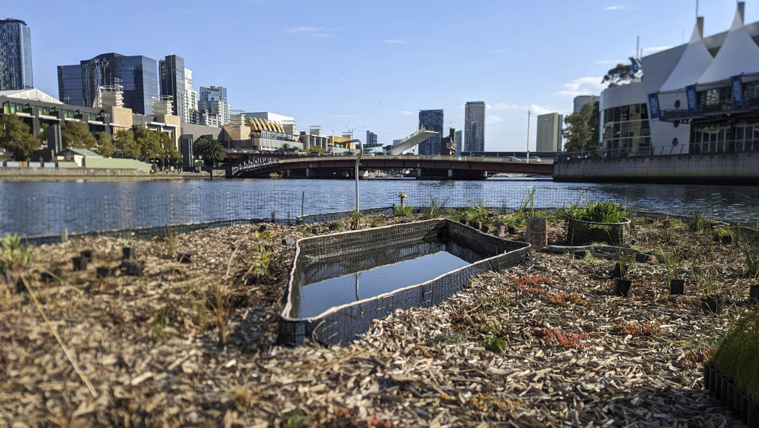 Floating wetlands have been installed in the Yarra River near Enterprize Park, Melbourne.